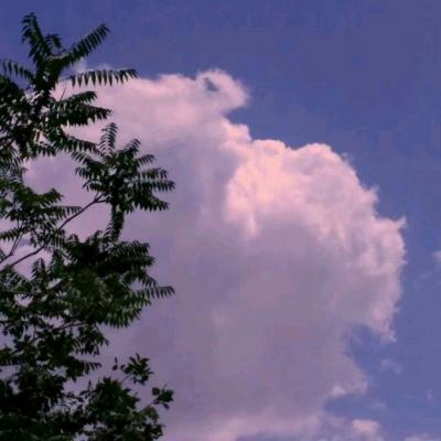 半岛官网入口网页版手机app下载