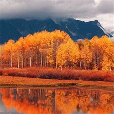 乐鱼官网手机版手机app下载截图