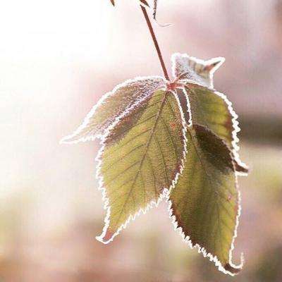 开云·全站app(kaiyun)截图